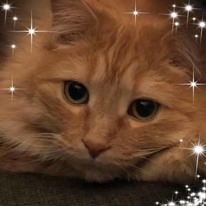 Meet your Posher, Jody